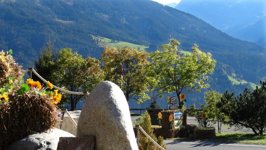 Aparthotel Hohe Bruecke Mittersill Kültér fotó